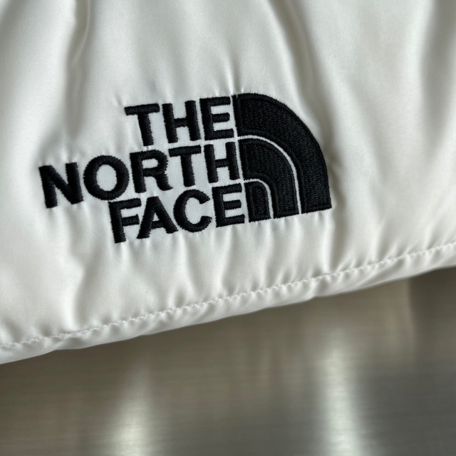 노스페이스 THE NORTH FACE 남성 패딩 TNF011